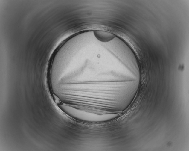 X0000097971139200804211005