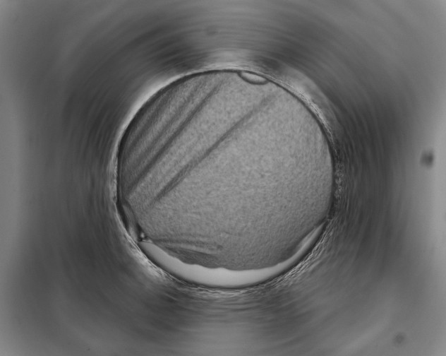 X0000097971140200804211005