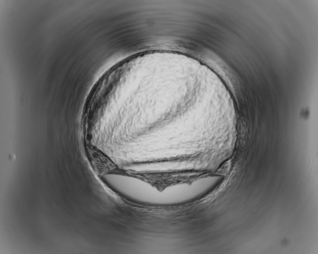 X0000097971141200804211005