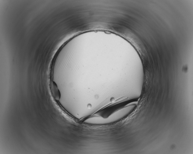 X0000097971142200804211005