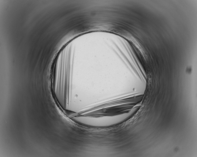 X0000097971143200804211005