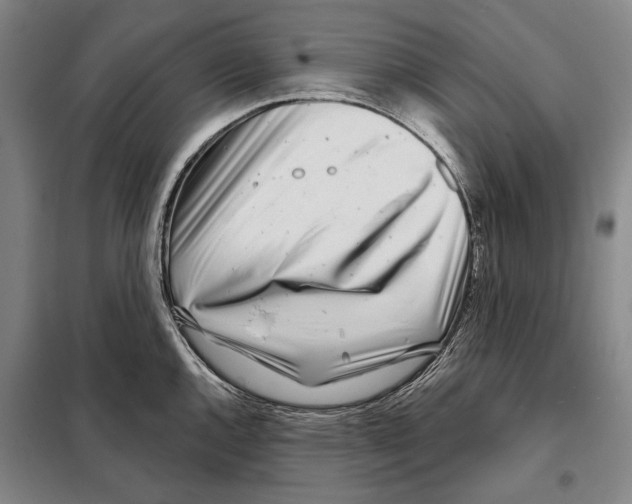X0000097971144200804211005