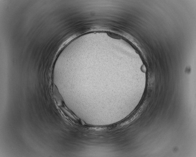 X0000097971145200804211005