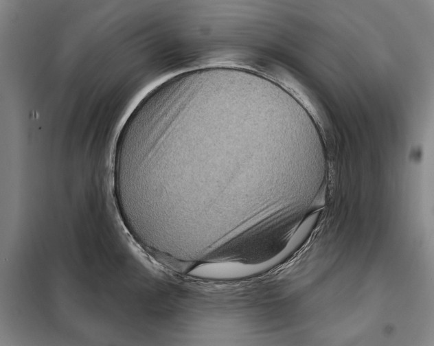 X0000097971148200804211005