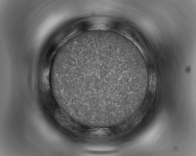 X0000097971150200804211005