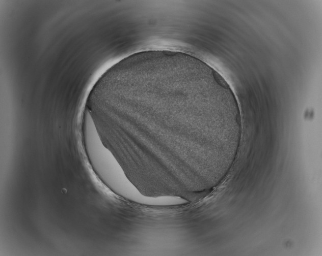 X0000097971152200804211005