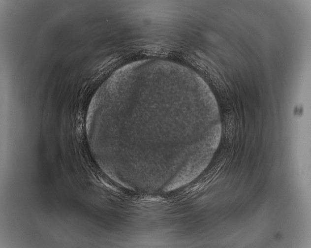 X0000097971154200804211004