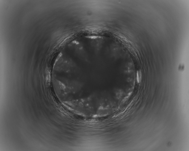 X0000097971155200804211004