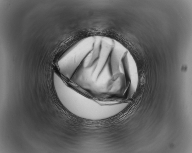 X0000097971156200804211004