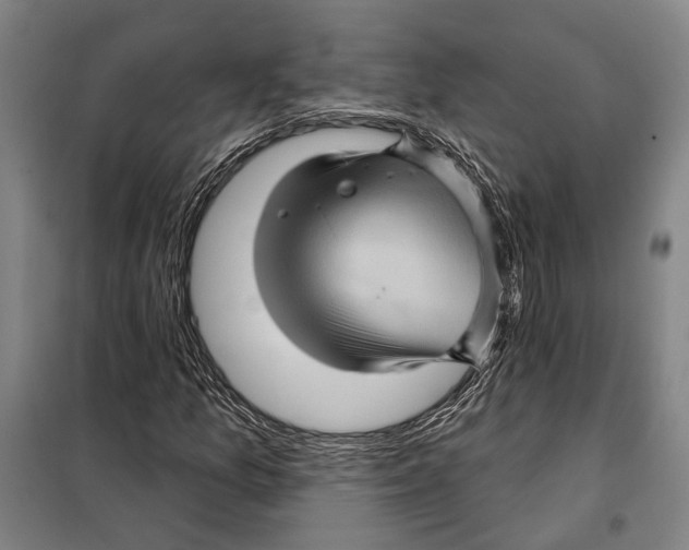 X0000097971157200804211004
