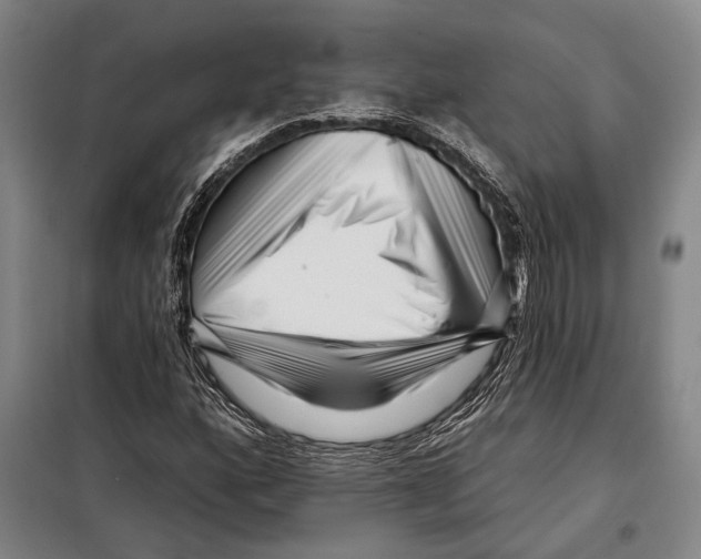 X0000097971160200804211004