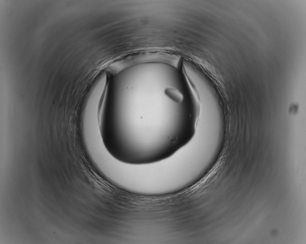 X0000097971161200804211004