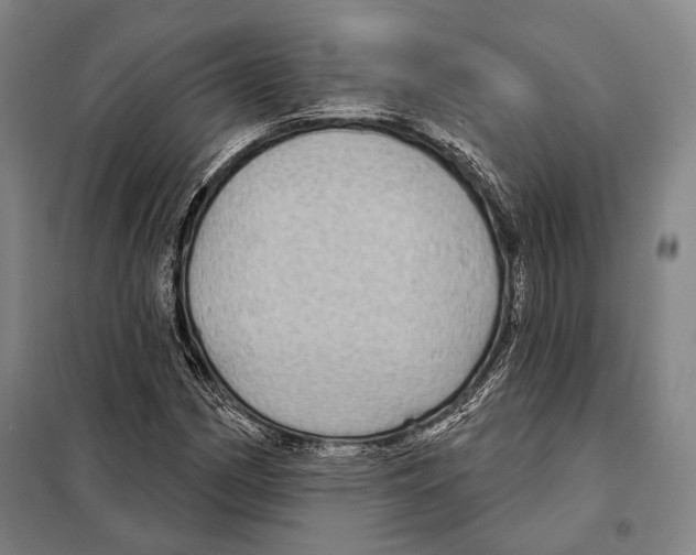 X0000097971162200804211004