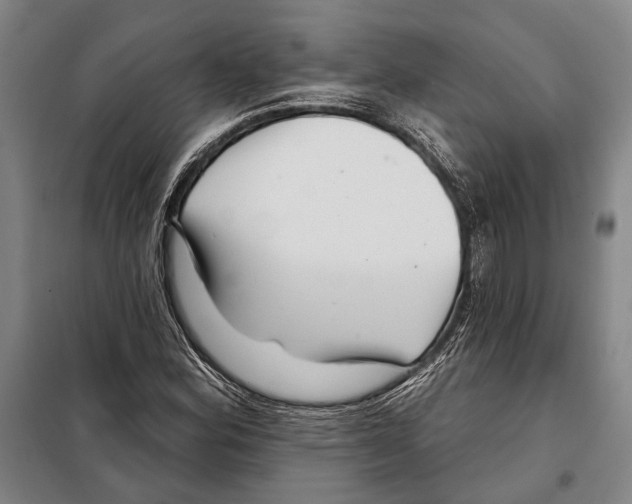 X0000097971164200804211004