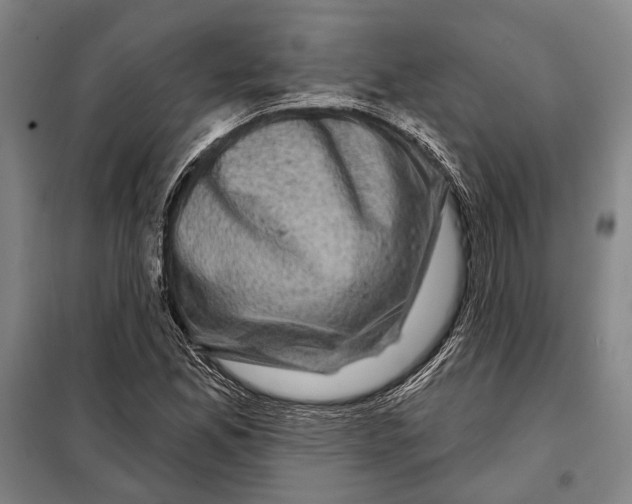 X0000097971165200804211004