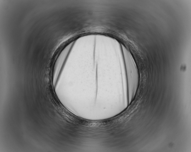 X0000097971166200804211004