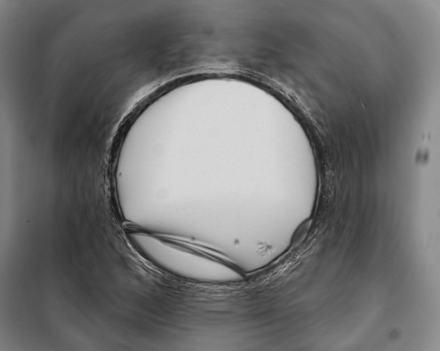 X0000097971168200804211004