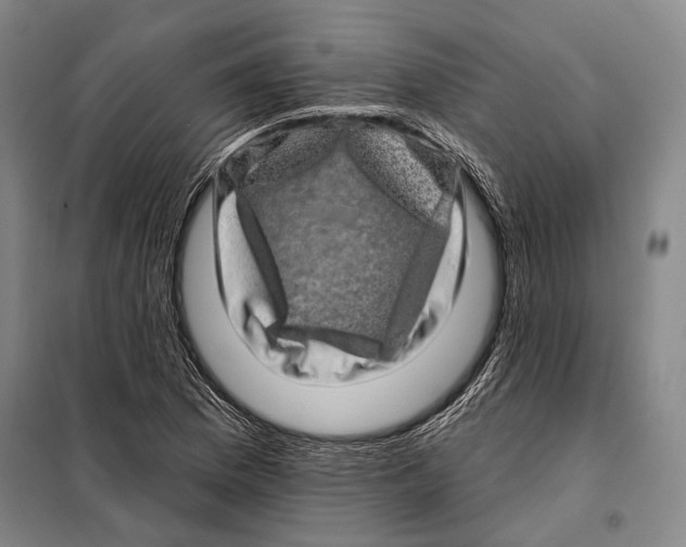 X0000097971169200804211004