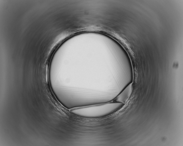 X0000097971171200804211004