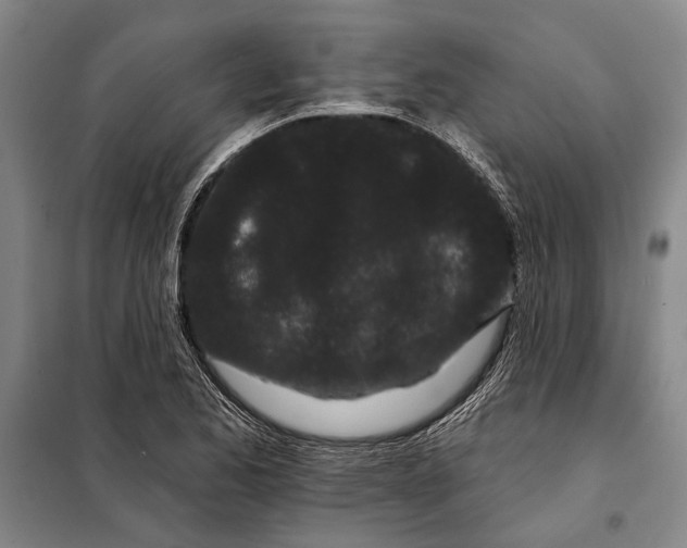 X0000097971173200804211004