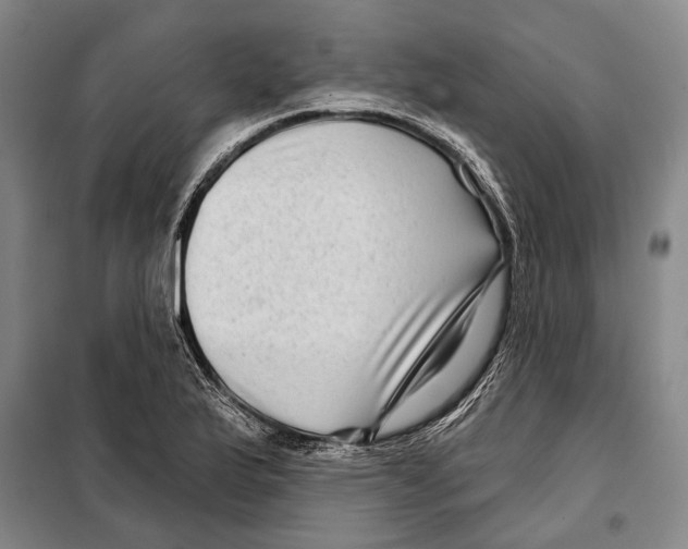 X0000097971175200804211004