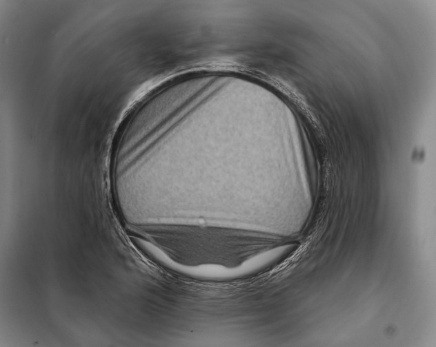 X0000097971176200804211004