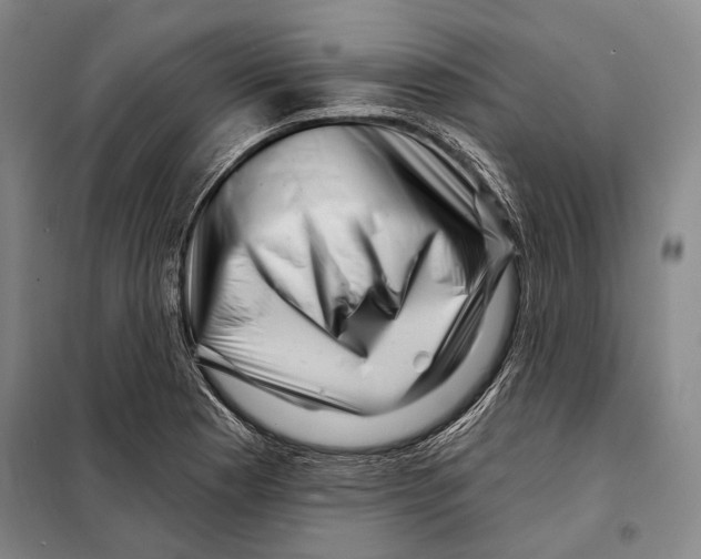 X0000097971177200804211004