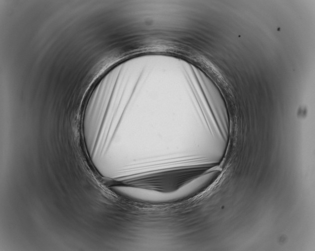 X0000097971178200804211004