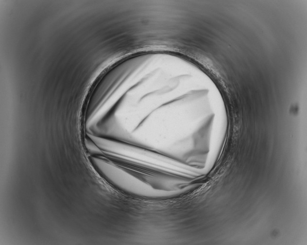 X0000097971181200804211004