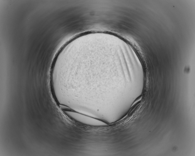 X0000097971183200804211004
