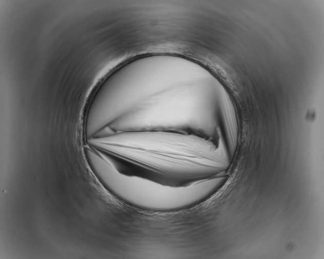 X0000097971184200804211004