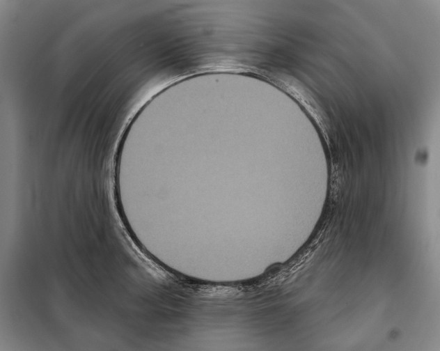 X0000097971187200804211003