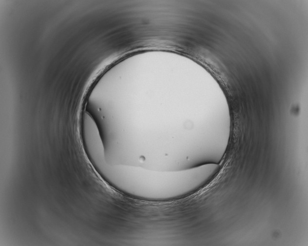 X0000097971188200804211003