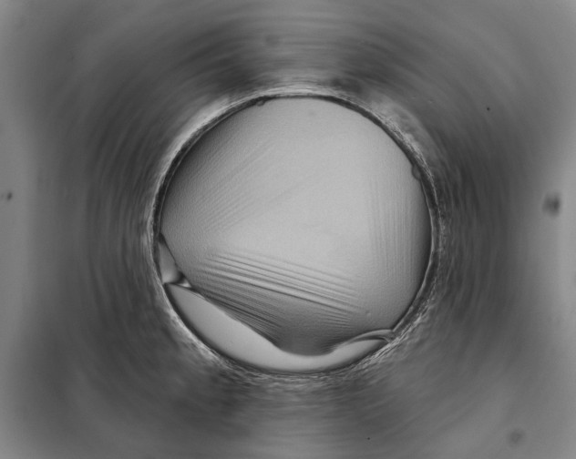 X0000097971189200804211003