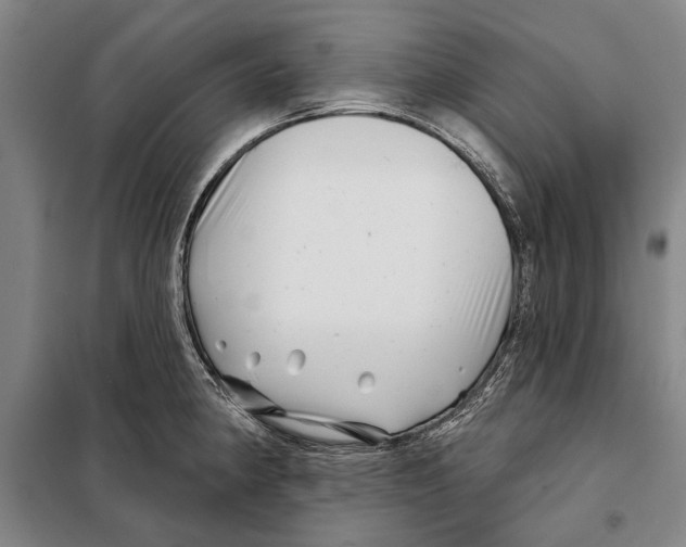X0000097971190200804211003