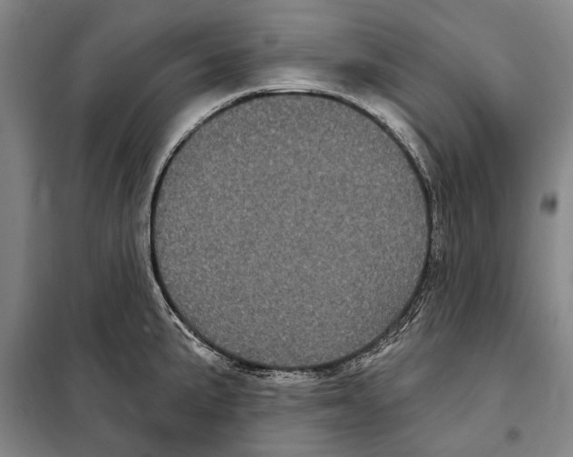X0000097971191200804211003