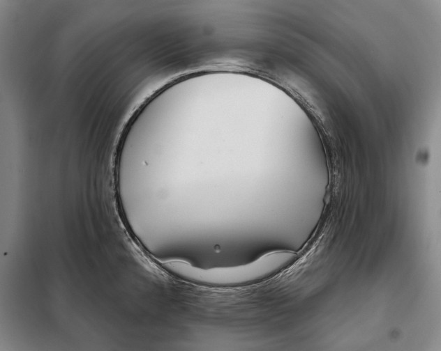 X0000097971192200804211003