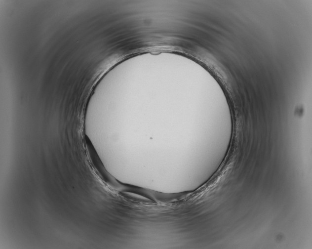 X0000097971193200804211003