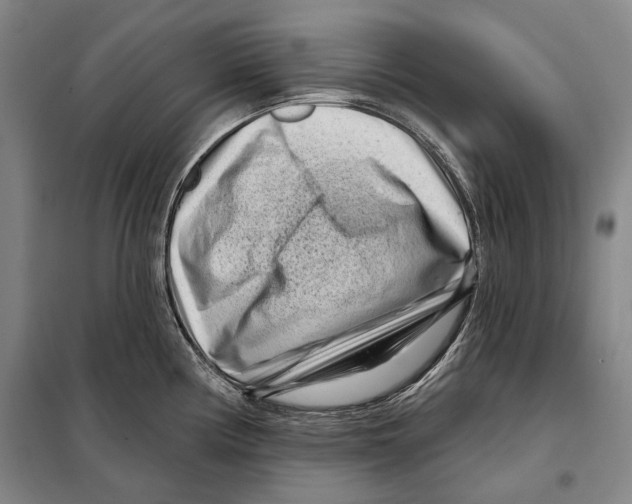 X0000097971194200804211003