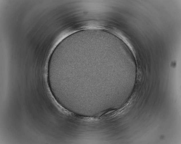 X0000097971195200804211003