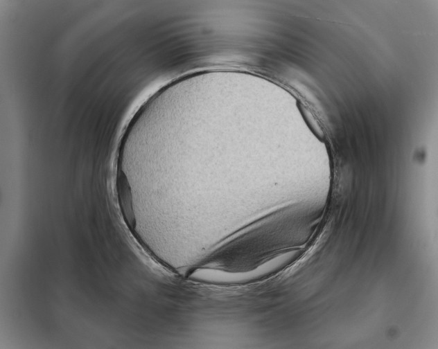 X0000097971196200804211003