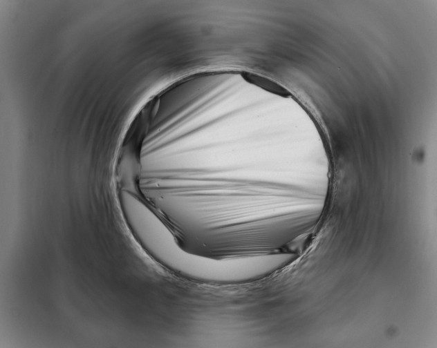 X0000097971197200804211003