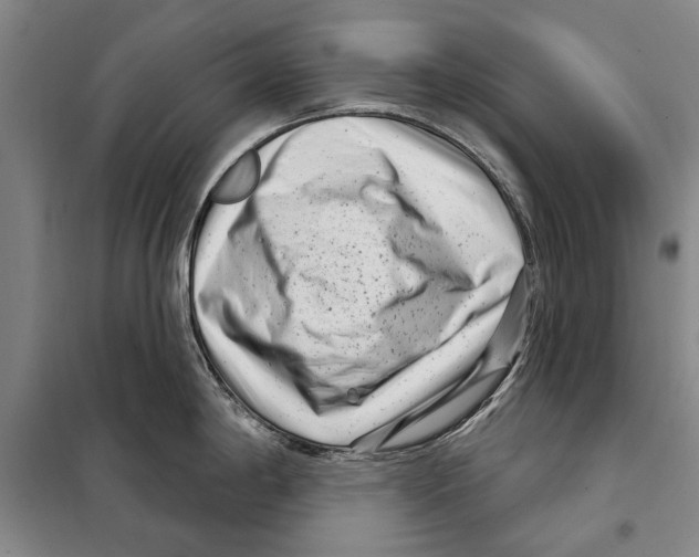 X0000097971198200804211003