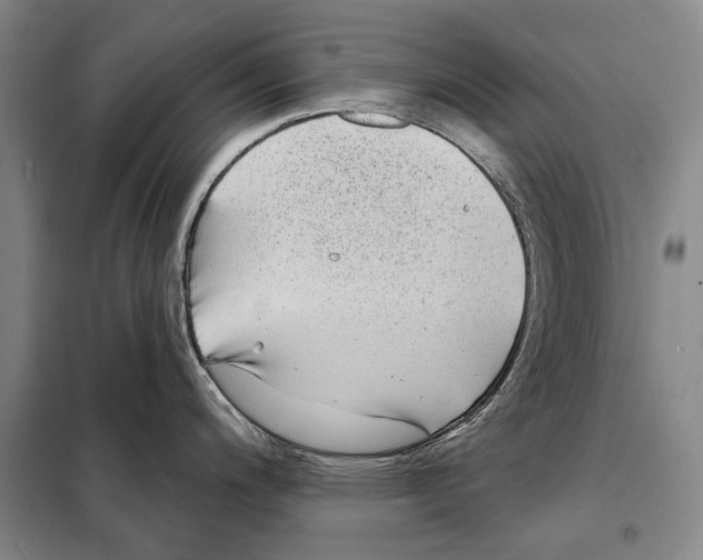 X0000097971200200804211003