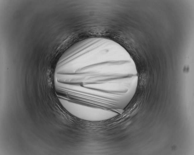 X0000097971202200804211002