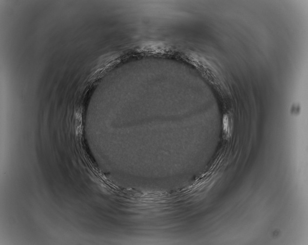 X0000097971203200804211002