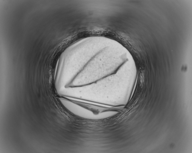X0000097971204200804211002