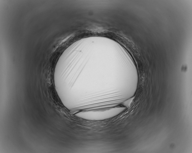 X0000097971205200804211002