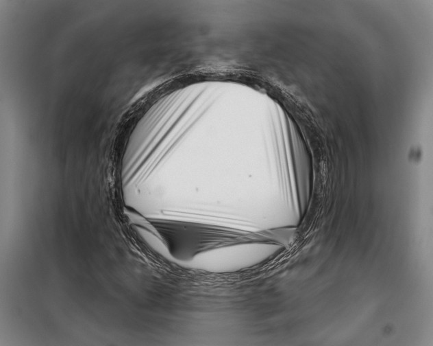 X0000097971206200804211002