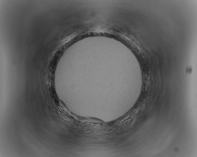 X0000097971207200804211002